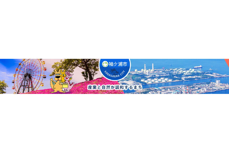 袖ケ浦市ってどんなところ?拡大画像