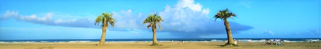 千葉県山武市