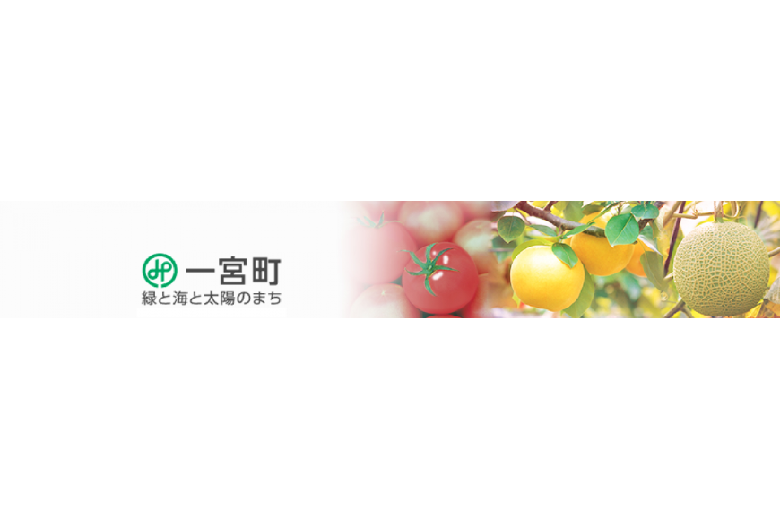 一宮町ってどんなところ?拡大画像