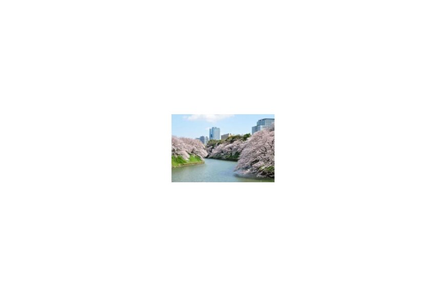 千代田区ってどんなところ?拡大画像