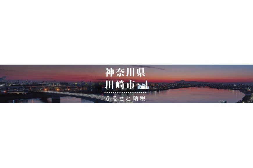 川崎市ってどんなところ?拡大画像