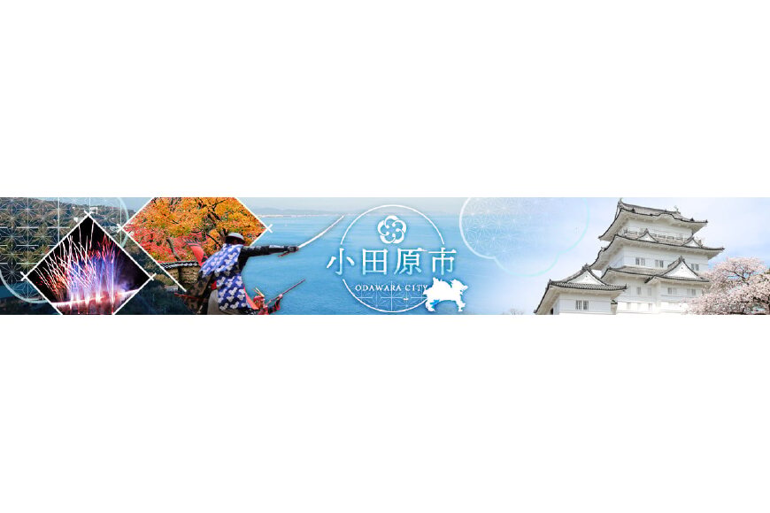 小田原市ってどんなところ?拡大画像