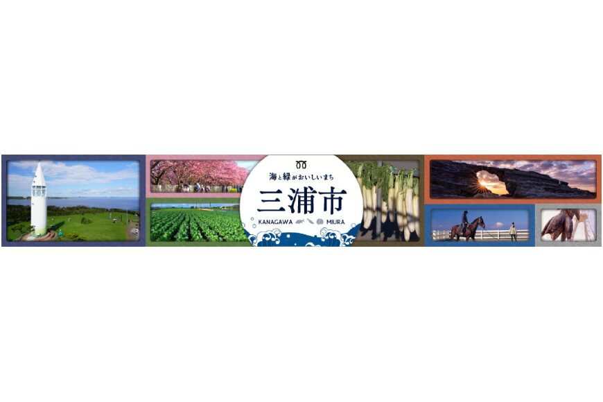 三浦市ってどんなところ?拡大画像