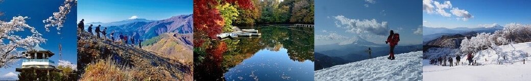 神奈川県秦野市