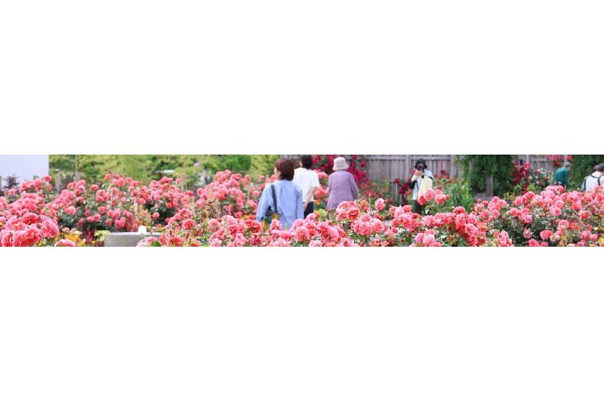 綾瀬市ってどんなところ?拡大画像