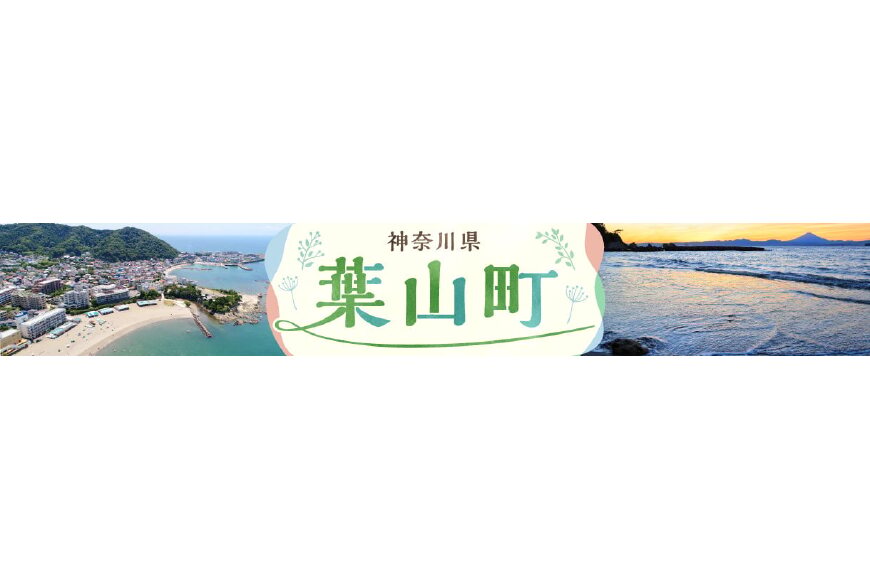 葉山町ってどんなところ?拡大画像