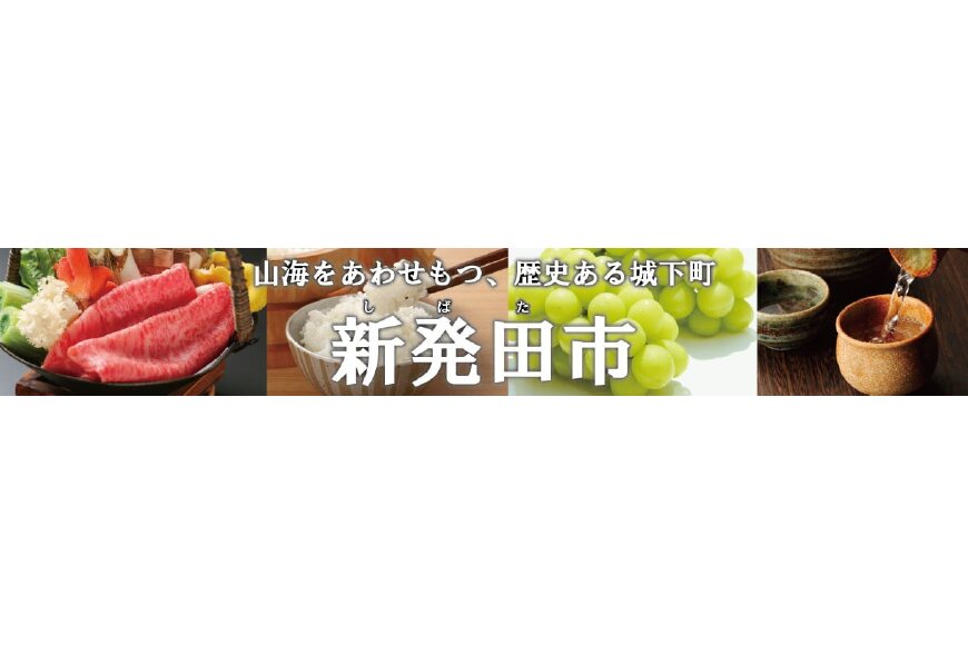 新発田市ってどんなところ?拡大画像
