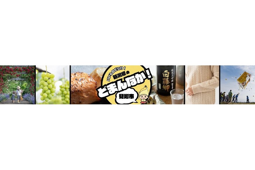見附市ってどんなところ?拡大画像