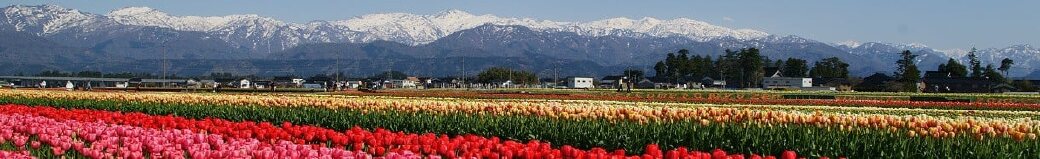 富山県入善町
