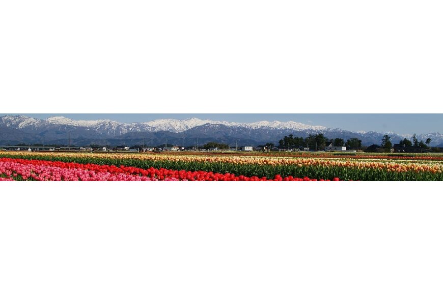 入善町ってどんなところ?拡大画像