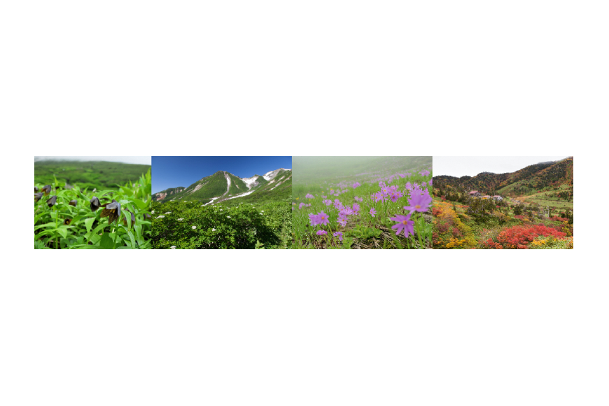白山市ってどんなところ?拡大画像