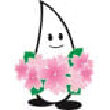長野県伊那市