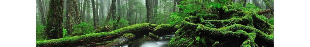 長野県小海町