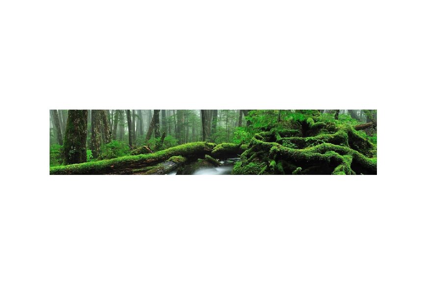 小海町ってどんなところ?拡大画像