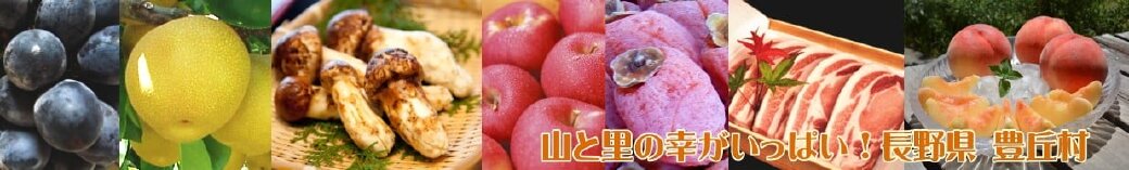 長野県豊丘村