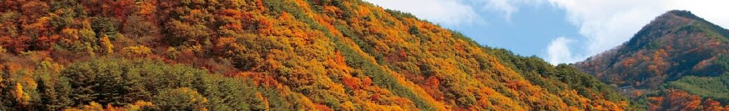 長野県筑北村