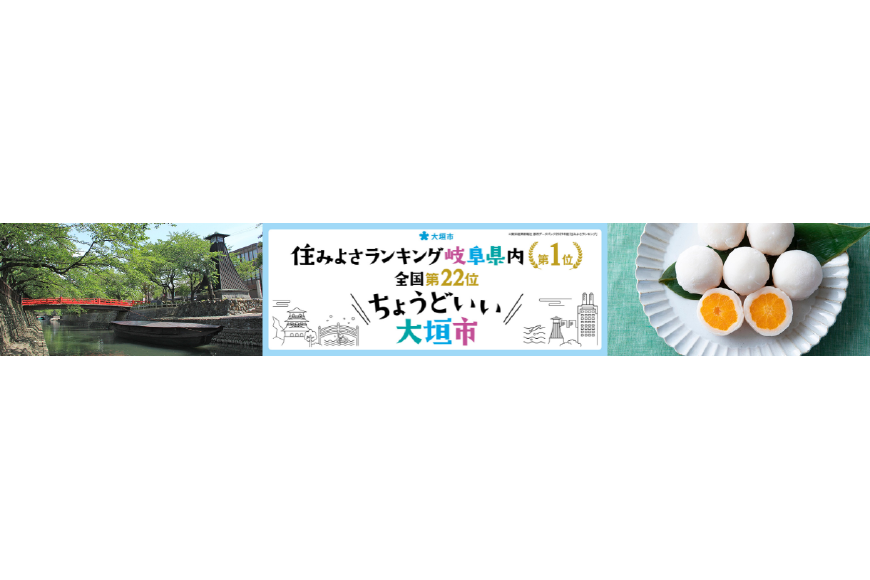 大垣市ってどんなところ?拡大画像
