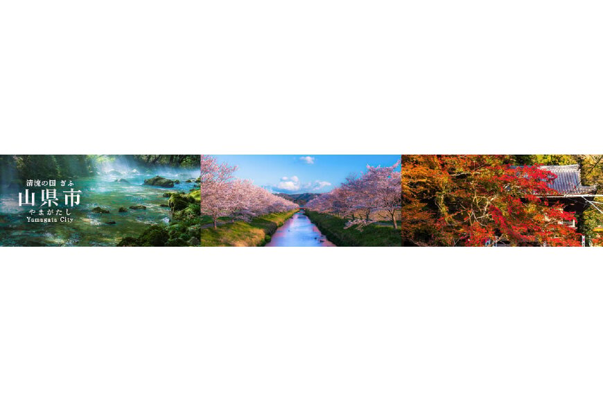 山県市ってどんなところ?拡大画像