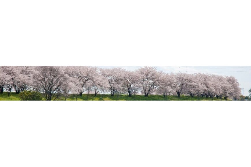 輪之内町ってどんなところ?拡大画像