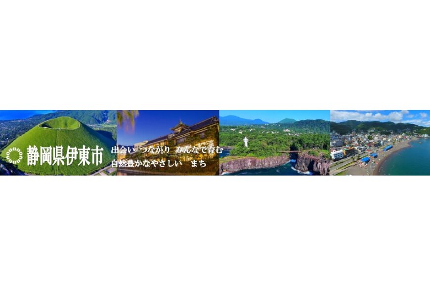 伊東市ってどんなところ?拡大画像