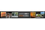 静岡県伊豆市