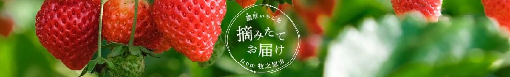 静岡県牧之原市