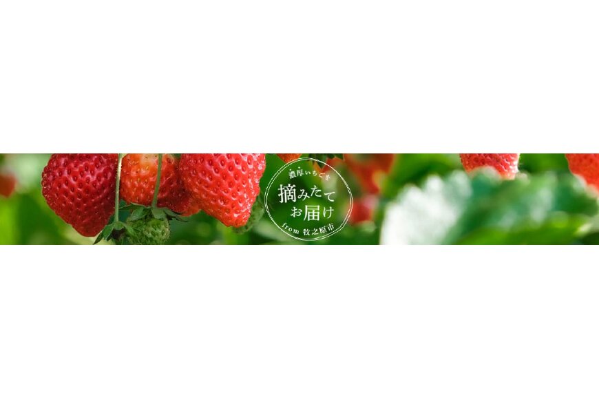 牧之原市ってどんなところ?拡大画像