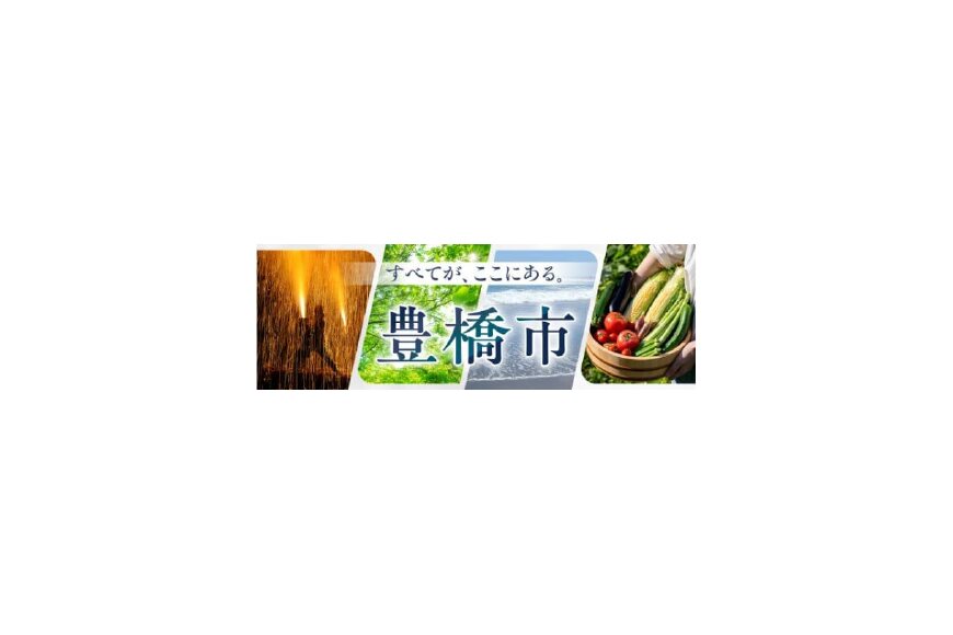 豊橋市ってどんなところ?拡大画像