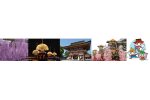 愛知県津島市