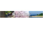 愛知県知多市