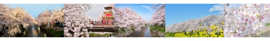 愛知県岩倉市