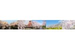 愛知県岩倉市