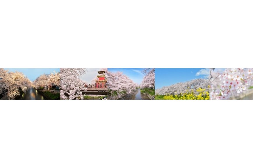岩倉市ってどんなところ?拡大画像