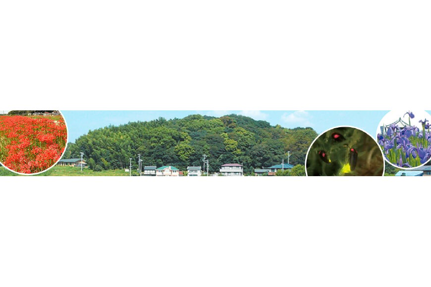 阿久比町ってどんなところ？拡大画像