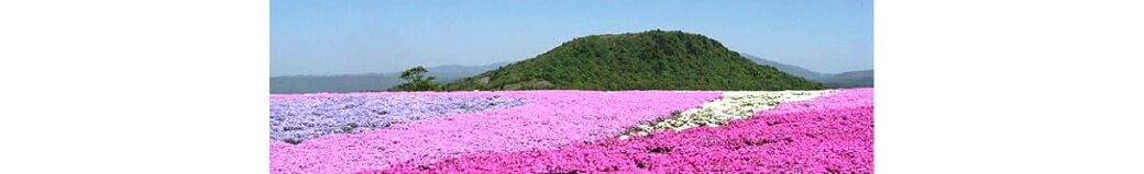 愛知県豊根村