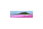 愛知県豊根村