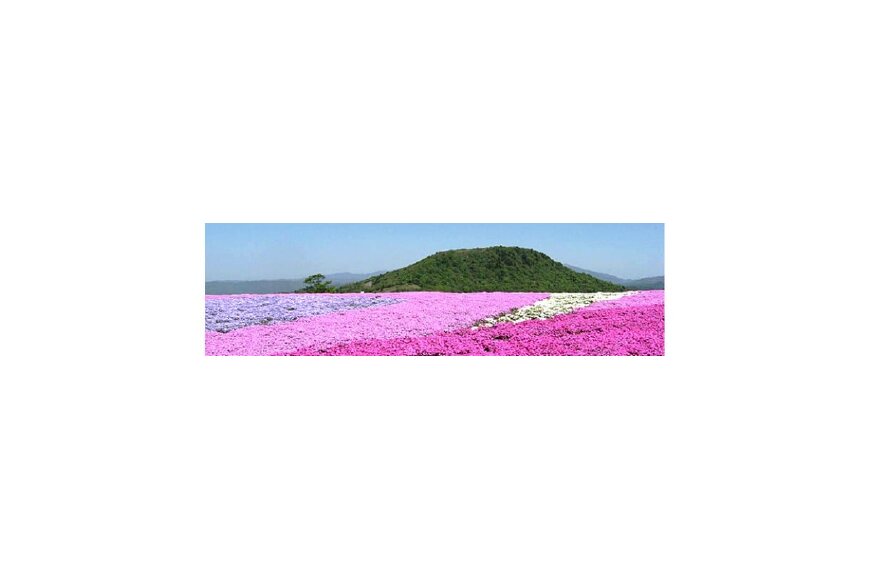 豊根村ってどんなところ?拡大画像