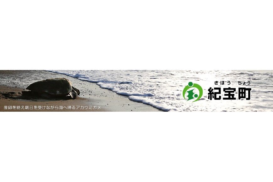 紀宝町ってどんなところ?拡大画像