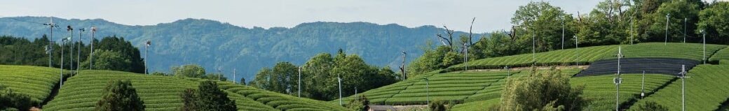 京都府南山城村
