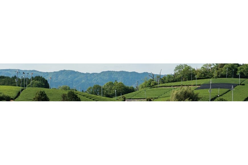 南山城村ってどんなところ?拡大画像