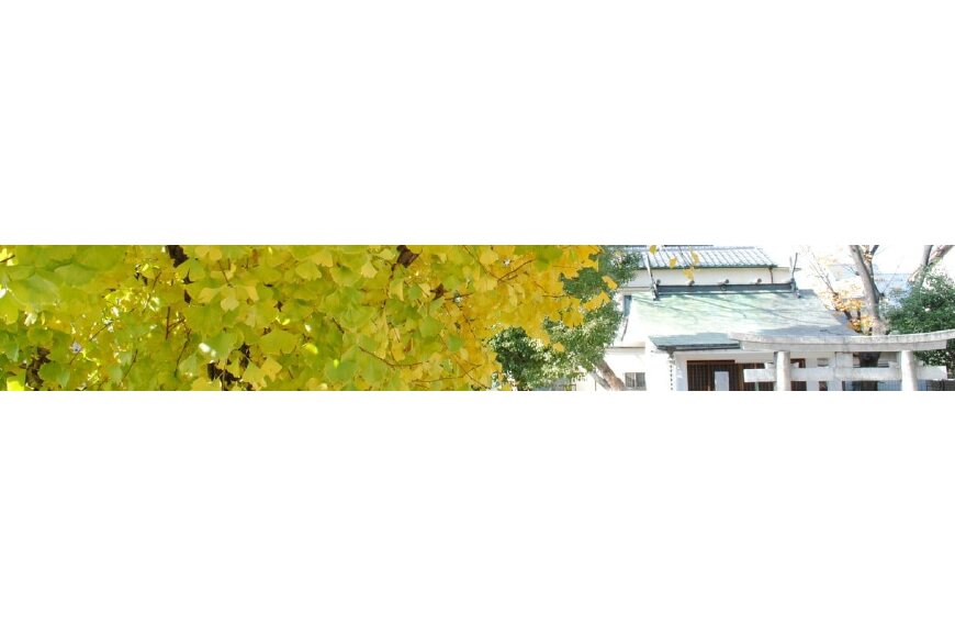 松原市ってどんなところ?拡大画像