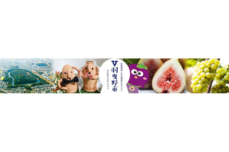 羽曳野市ってどんなところ?拡大画像