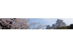 兵庫県姫路市