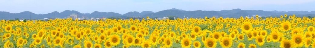 兵庫県小野市