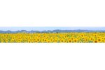 兵庫県小野市