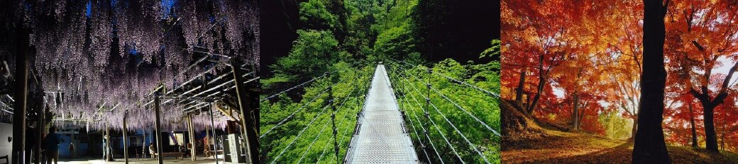 兵庫県宍粟市
