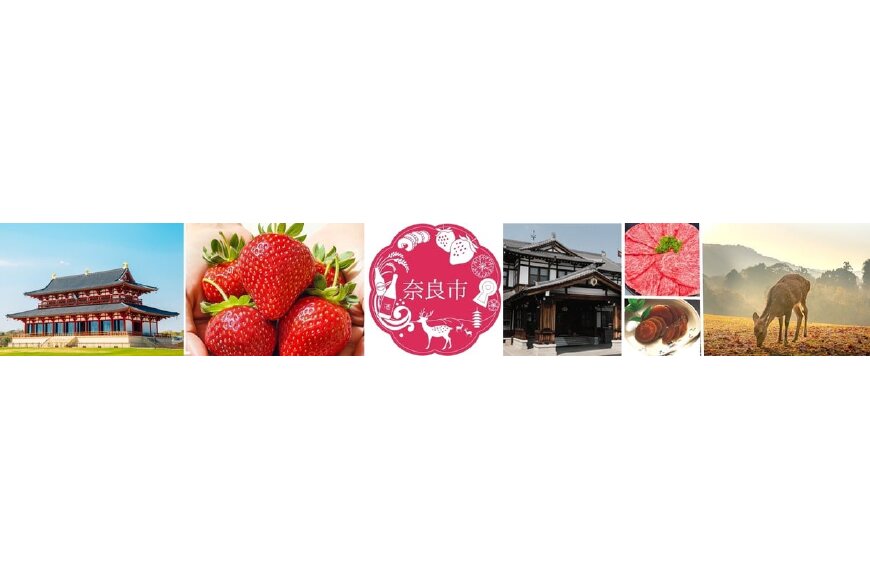 奈良市ってどんなところ？拡大画像