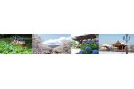 奈良県大和高田市
