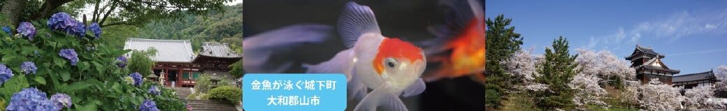 奈良県大和郡山市