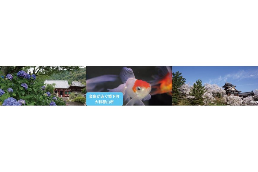 大和郡山市ってどんなところ？拡大画像